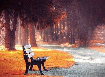 Bench in Garden, bench, beautiful, , in garden HD wallpaper