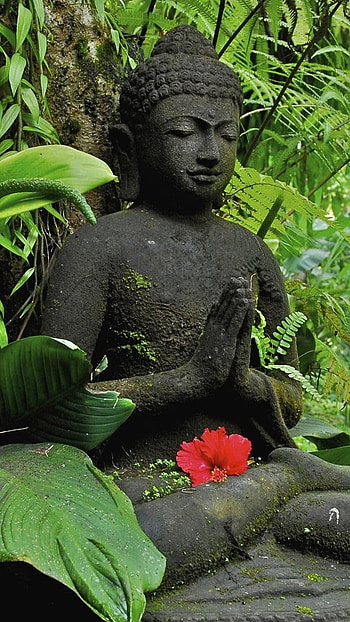 Bhagwan Buddha, Nature Background HD phone wallpaper