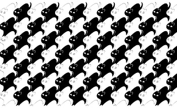 Texture, pisica, white, black, cat, paper, pattern HD wallpaper