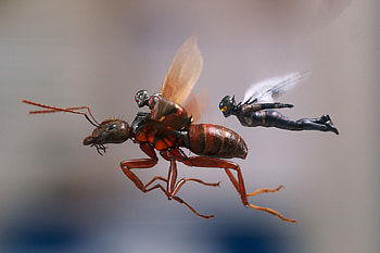 Ant Man And The Wasp, ant-man-and-the-wasp, ant-man, 2018-movies, movies HD wallpaper