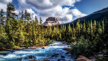Wapta Mountain, British Columbia, sky, forest, stream, trees, clouds, anada HD wallpaper