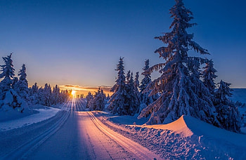 winter road, winter, road, nature, tree HD wallpaper