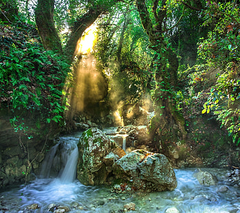Forest, rocks, waterfall, nature HD wallpaper