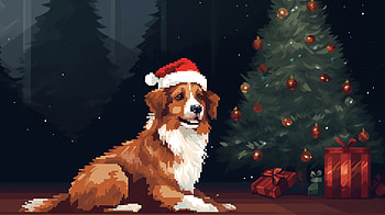 Christmas Dog in Santa Hat, santa hat, Christmas, Animal, dog, Christmas dog HD wallpaper