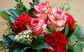 Flowers, Roses, Leaves, Carnations, Bouquet HD wallpaper