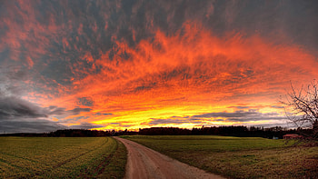 Field And Skies, skies, sky, nature, grass, sunset, sunrise HD wallpaper