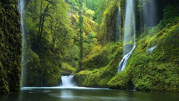 Waterfall, river, moss, snow, nature, tree HD wallpaper