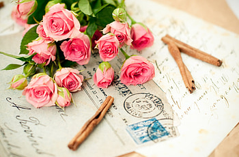 Flowers, Roses, Cinnamon, Bouquet, Letter HD wallpaper