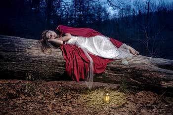 Nap Time in the Forest, model, forest, log, brunette, robe HD wallpaper