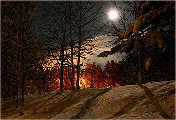 Christmas night, winter, night, holiday, moon, snow, christmas HD wallpaper