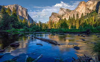 Yosemite, mountain river, mountain landscape, morning, sunrise, forest, California, USA HD wallpaper