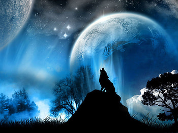 Animals, Wolfs HD wallpaper