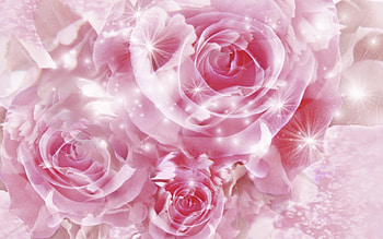 Flowers, Background, Roses HD wallpaper