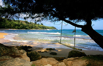 Landscape, Sea, Beach HD wallpaper