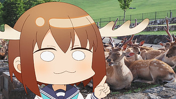 Noko Shikanoko, Anime, My Deer Friend Nokotan, Noko Shikanoko HD wallpaper