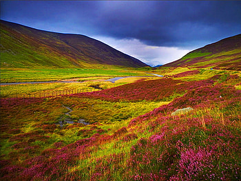 Mountain colors, colorful, field, colors, nature, flowers, mountain HD wallpaper