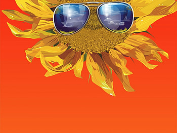 flower with glasses, glasses, flower HD wallpaper
