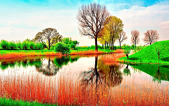 Lake Reflection, reflection, landscape, trees, nature, lake HD wallpaper