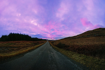 Nature, Grass, Sky, Road HD wallpaper