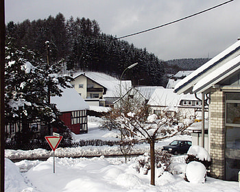 winter in town, winter, trees, houses, snow HD wallpaper