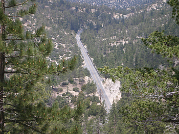 a-way-to-heaven, road, forests, nature, pines HD wallpaper