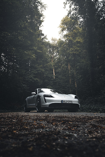 Porsche, Cars, Forest, Grey, Side View, Porsche 911 HD phone wallpaper