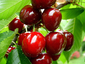 Cherry, abstract, 3d, red, complex HD wallpaper