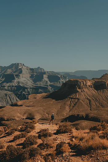 Canyon, Bush, Miscellanea, Miscellaneous, Loneliness, Alone, Lonely HD phone wallpaper
