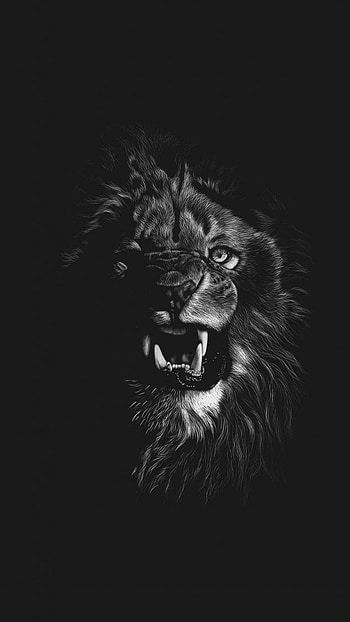 Black Lion , Lion Blue Eyes HD phone wallpaper