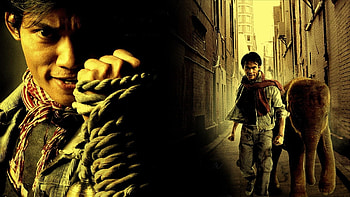 Fashion flaves, Ong-Bak HD wallpaper