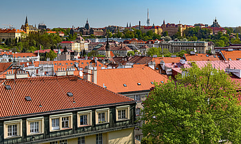 Cities, Trees, City, Building, Roof, Roofs HD wallpaper
