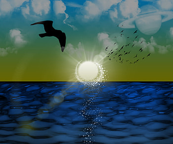 Abstract SunSet, scenery, birds, clouds, waters, sunset, ocean HD wallpaper