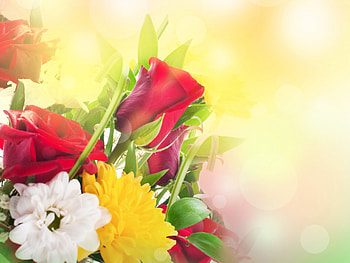 Beautiful Flowers!, bouquet, beautiful, nature, flowers HD wallpaper