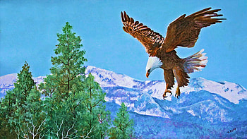 Soaring Over Snowy Peaks, painting, eagle, trees, landscape, sky, mountains HD wallpaper