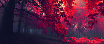 ultra wide, graphy, Nature HD wallpaper