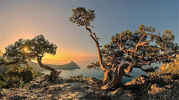 Sunrise, trees, sky, sun, water HD wallpaper