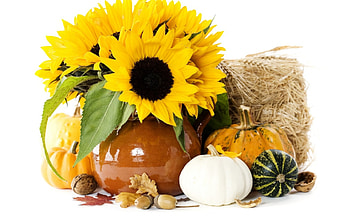 Autumn SunShine, sunshine, bouquet, entertainment, arrangement, unique, fashion, sunflowers, yellow, autumn, forever HD wallpaper