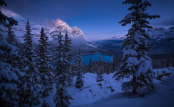 Peyto Lake, Banff National Park HD wallpaper