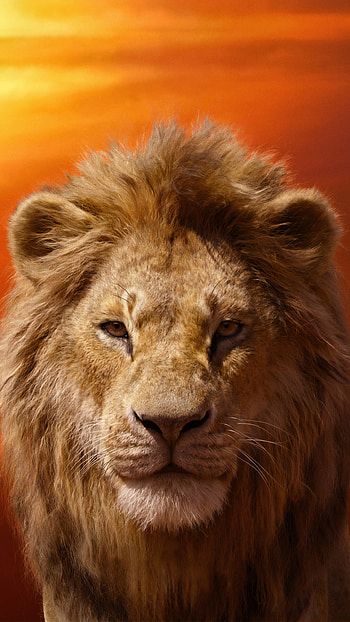 Simba, The Lion King HD phone wallpaper