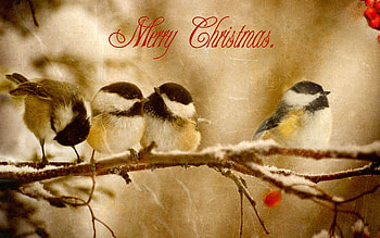 Christmas, Merry Christmas, Holiday HD wallpaper