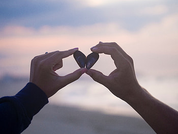 Love, Hands, Heart, Shell, Details HD wallpaper