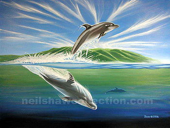 Mother And I, dolphins, flesh, water, sharing HD wallpaper