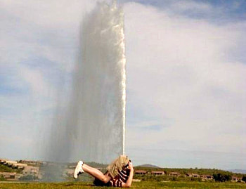 Funny , cool HD wallpaper