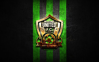 Molynes United FC, golden logo, Jamaica Premier League, green metal background, football, jamaican football club, Molynes United logo, soccer, Molynes United HD wallpaper