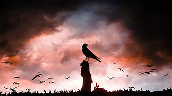 Distinction, artist, artwork, digital-art, deviantart HD wallpaper