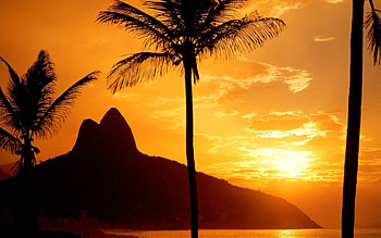 Landscape, Sunset, Palms HD wallpaper
