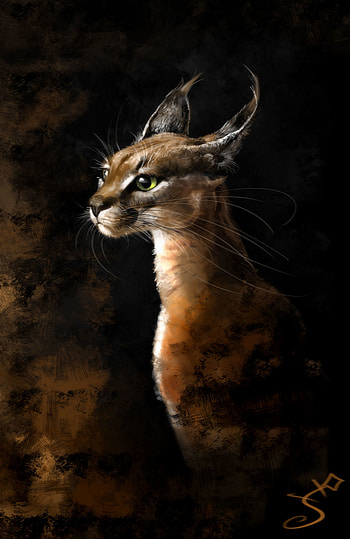 Art, Iris, Predator, Big Cat HD phone wallpaper