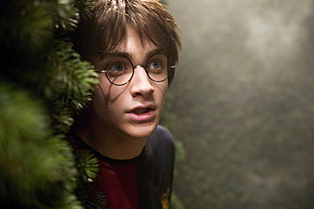Harry Potter, Harry Potter And The Goblet Of Fire, Movie, Daniel Radcliffe HD wallpaper
