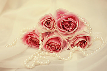 Pearls Roses, roses, pearls, girls, beautiful, special, nice HD wallpaper