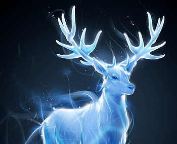 Deer patronum, blue, animal, fantasy, deer, patronus, harry potter, luminos HD wallpaper